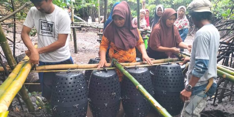 KKP Diseminasi Dua Inovasi Teknologi untuk Bantu Nelayan dan Pembudidaya Kepiting