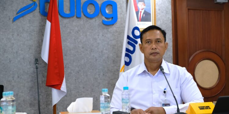 Lindungi 160.000 Penggilingan Skala Kecil, Bulog Bangun 100 Gudang Baru