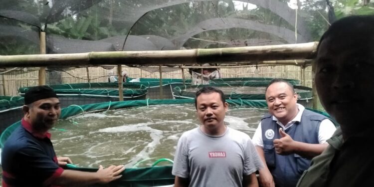 Tiga Penyuluh Kelautan Perikanan Raih Satyalancana Wira Karya dari Presiden Prabowo