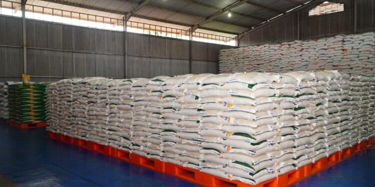 Pengamat: Indonesia Swasembada Beras, Stok Dunia Tertinggi Sepanjang Sejarah, Harga Global Anjlok!