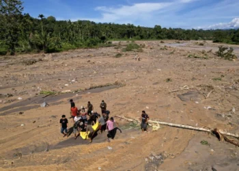 Banjir Bandang Sumatra, Pakar UGM Sebut Akibat Kerusakan Ekosistem Hutan