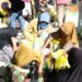 Biro Komunikasi Kementan Sampaikan Permohonan Maaf, Bantuan Beras Kini Sudah Mencapai 16 Milyar, bukan lagi 1,3 M