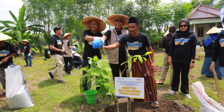 Bulog Dukung Pelestarian Lingkungan dengan Penanaman 250 Bibit Jambu Air Camplong di Sampang