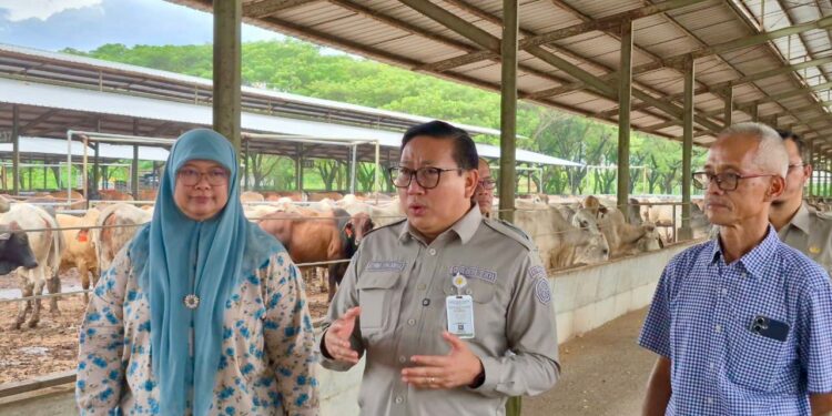 Jelang Nataru, Kementan Pastikan Harga Daging dan Pasokan Pangan Terkendali