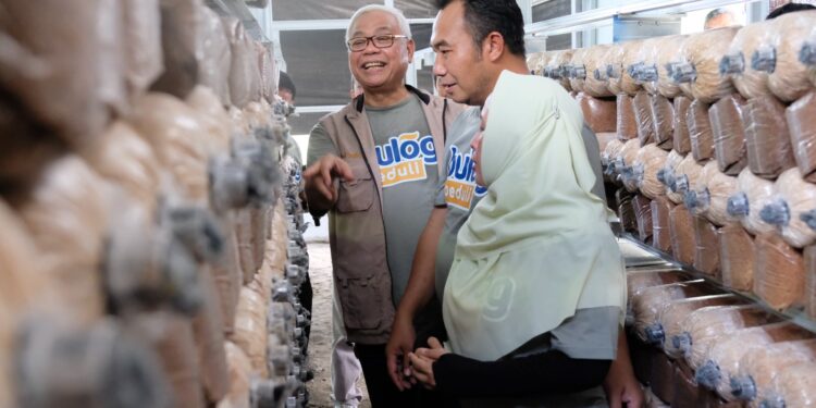 Bulog Dorong Kebangkitan Ekonomi Desa Lewat Program Bulog Industry Ecosociosystem dan Program Bulog Peduli Air Bersih di Sragen