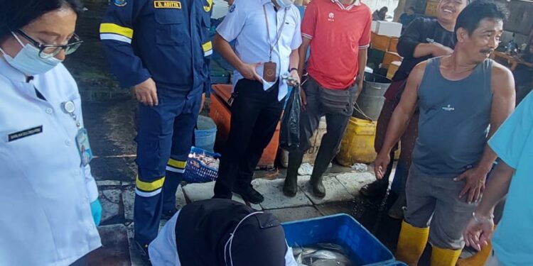 KKP Bagikan Tip Memilih dan Mengolah Ikan Jelang Tahun Baru 2026