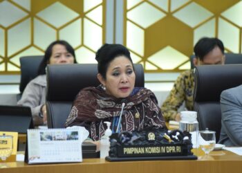 Titiek Soeharto Desak Menhut Setop Seluruh Izin Pembukaan Hutan