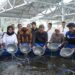 KKP Proyeksikan Boyolali Jadi Pusat Penghasil Lele di Jateng