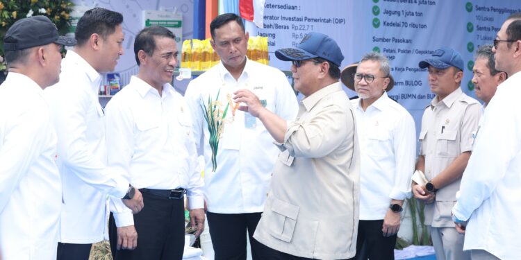 Bulog Terima Penghargaan dari Presiden atas Dedikasi Mendukung Swasembada Pangan
