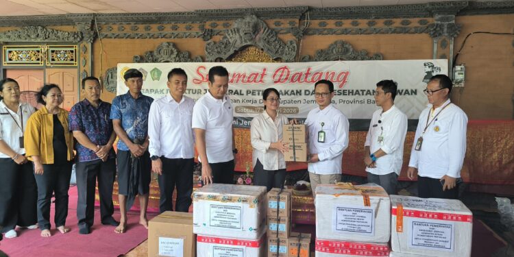 Kementan Salurkan Vaksin LSD ke Jembrana, Lindungi Usaha Peternak Sapi