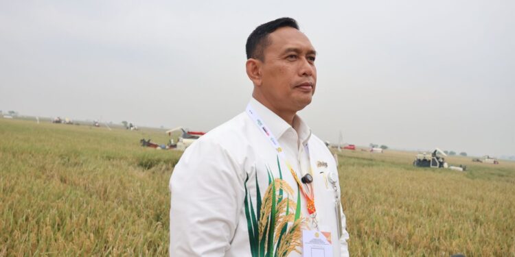 Bulog Seluruh Indonesia Mulai Serap Gabah dan Beras Dalam Negeri di Awal 2026