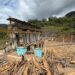 Tak Sekadar Pembangkit Listrik Hijau, PLTA Sipansihaporas Cegah Banjir Kayu saat Bencana Sumatra