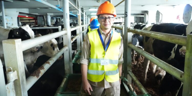 Investasi Sapi Bertambah, 1.383 Sapi Perah Tiba di Cilacap dan Dikelola Peternak Mitra