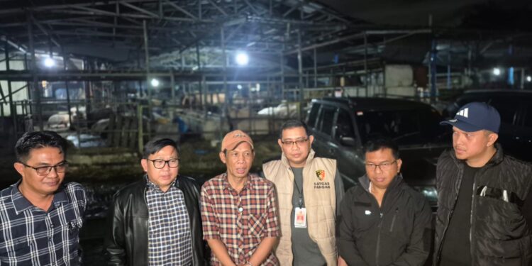 Pelaku Usaha Ikuti Aturan Pemerintah Pastikan Harga Sapi Hidup Stabil