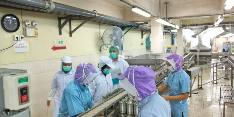 KKP Kirim 1.852 Kontainer Udang Bersertifikat Bebas Cesium ke AS dalam Tiga Bulan