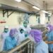 KKP Kirim 1.852 Kontainer Udang Bersertifikat Bebas Cesium ke AS dalam Tiga Bulan