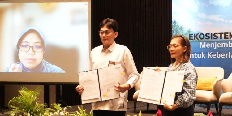 KKP Siapkan Regulasi dan Gandeng Stakeholder untuk Penguatan Ekosistem Karbon Biru Nasional