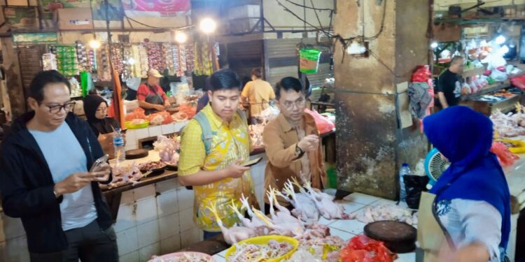 Pemerintah Pastikan Harga Daging Ayam di Sejumlah Pasar Masih Berada di Bawah Harga Acuan