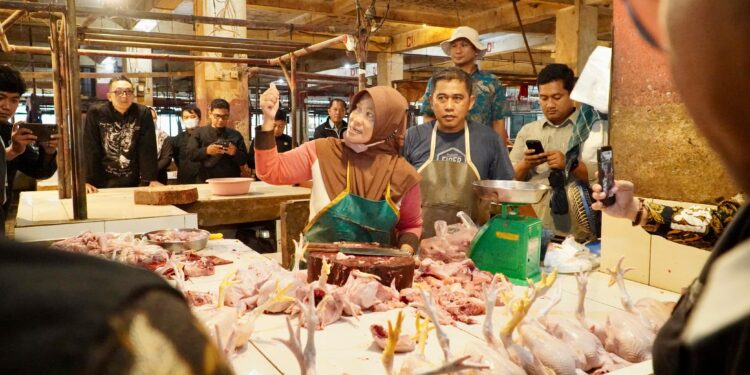 Kementan Kawal Sidak Pasar dan Gudang Bulog di Bengkulu, Stok Aman Jelang Ramadan dan Idulfitri