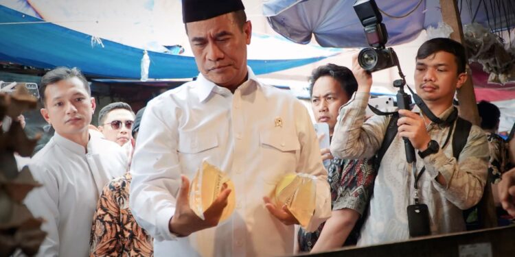 Usai Terima Laporan Kenaikan, Mentan Amran Sidak Pasar, Harga Langsung Turun
