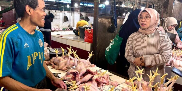 Kementan Sidak Pasar di Depok, Harga Ayam dan Daging Selama Puasa Tetap Normal
