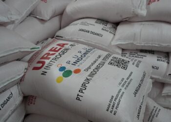 KKP – Komisi IV DPR Pastikan Akses Pupuk Subsidi untuk Pembudi Daya Tradisional