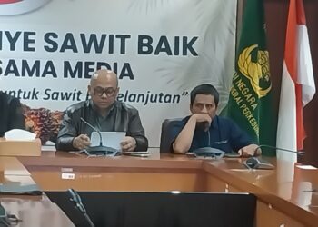 Sinergisitas Kunci Wujudkan Sawit Berkelanjutan