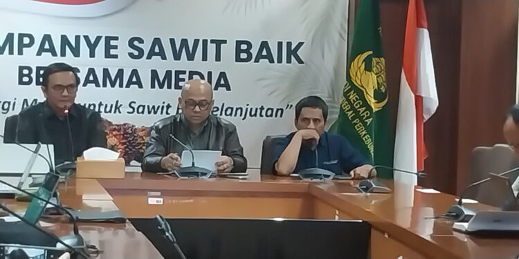 Sinergisitas Kunci Wujudkan Sawit Berkelanjutan