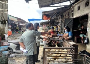 Kementan Sidak Pasar di Tapanuli Utara dan Toba, Harga dan Pasokan Ayam dan Telur Terkendali
