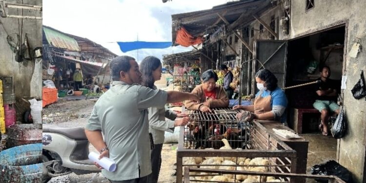 Kementan Sidak Pasar di Tapanuli Utara dan Toba, Harga dan Pasokan Ayam dan Telur Terkendali