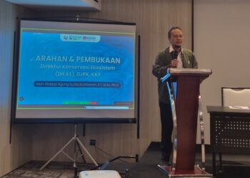 KKP Perkuat Program Konservasi Laut di Tingkat Tapak untuk Ekonomi Biru