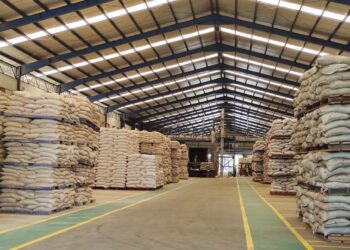 Harga Pakan Terpantau Turun, Kementan: Biaya Produksi Peternak Diharapkan Lebih Efisien