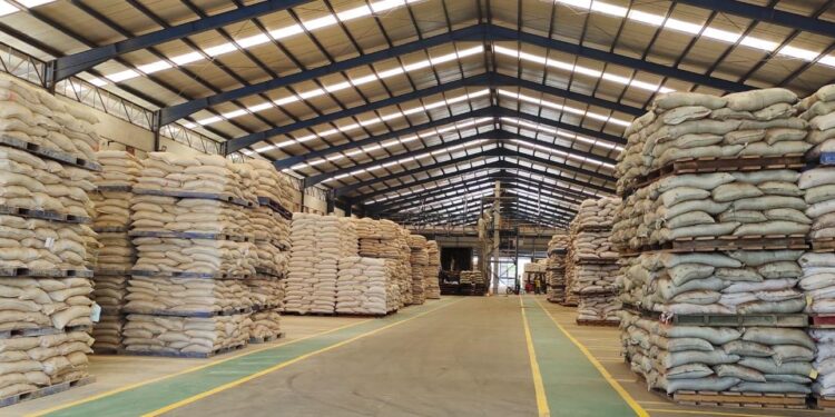 Harga Pakan Terpantau Turun, Kementan: Biaya Produksi Peternak Diharapkan Lebih Efisien