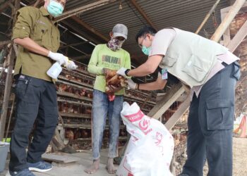 Gerakan Pangan Murah Ramadan di Rejang Lebong Jaga Stabilitas Harga dan Ketersediaan Pangan