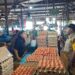 Kementan Perkuat Kemandirian Pakan Ayam Petelur untuk Mendukung Program MBG