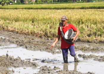 Mentan Amran Antisipasi Kekeringan dan Ketegangan Geopolitik