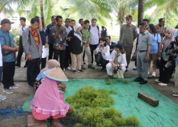 KKP Perkuat Implementasi seaBLUE Project untuk Tingkatkan Kesejahteraan Masyarakat Pesisir Morotai