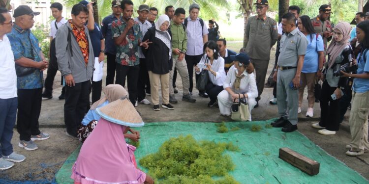 KKP Perkuat Implementasi seaBLUE Project untuk Tingkatkan Kesejahteraan Masyarakat Pesisir Morotai