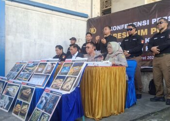 Lindungi Konsumen Dan Peternak Lokal, Kementan Tindak Tegas Daging Domba Impor Kedaluwarsa