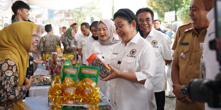 Komisi IV DPR Puji Peran Penyuluh Perikanan Tingkatkan Produktivitas Masyarakat Kelautan dan Perikanan