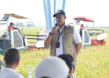 Bulog Optimis Panen Raya di Jawa Timur Dukung Capaian Target 4 Juta Ton Setara Beras Tahun 2026