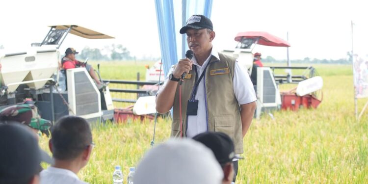 Bulog Optimis Panen Raya di Jawa Timur Dukung Capaian Target 4 Juta Ton Setara Beras Tahun 2026