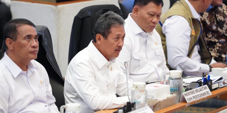 KKP Pastikan Stok Ikan Aman di Tengah Ketegangan Geopolitik dan Ancaman El Nino