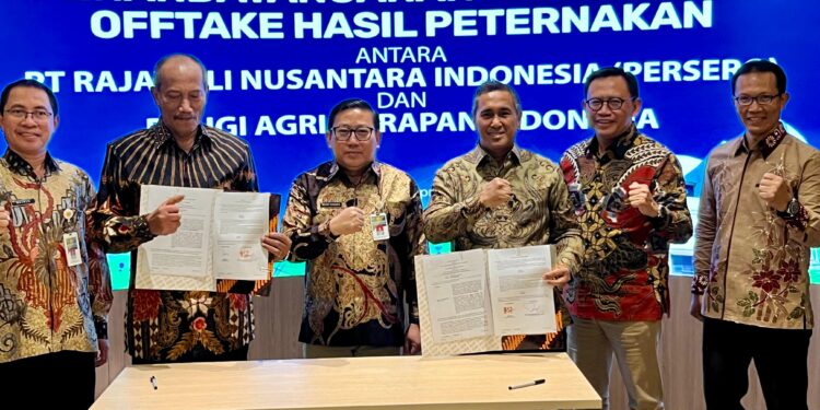Kementan Kawal Realisasi Hilirisasi Ayam Di Daerah Untuk Perkuat Peluang Usaha Peternakan