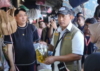 Sidak Pasar Di Jakarta, Bulog Pastikan Ketersediaan Minyakita dalam Kondisi Aman
