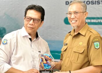 KKP Dukung Upaya Perlindungan Penyu di Belitong UNESCO Global Geopark