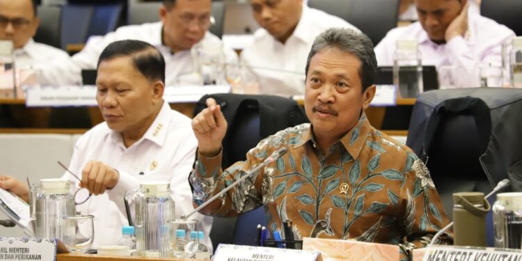 KKP Proyeksikan Ekosistem Karbon Biru Serap 10 Juta Ton CO2 per Tahun
