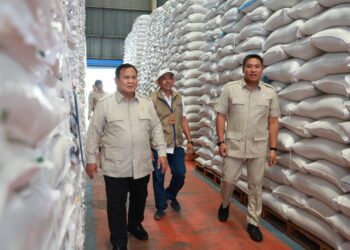 Wamentan Dampingi Presiden Sidak Gudang Bulog Danurejo, Pastikan Stok Beras Aman