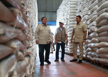 Stok Bulog Aman, Presiden Nyatakan Kebutuhan Dasar Rakyat Terpenuhi