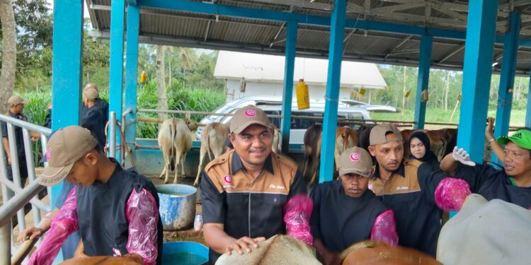 Komite II DPD RI Dukung Kementan Perkuat IB, Peternak Rasakan Manfaat Langsung